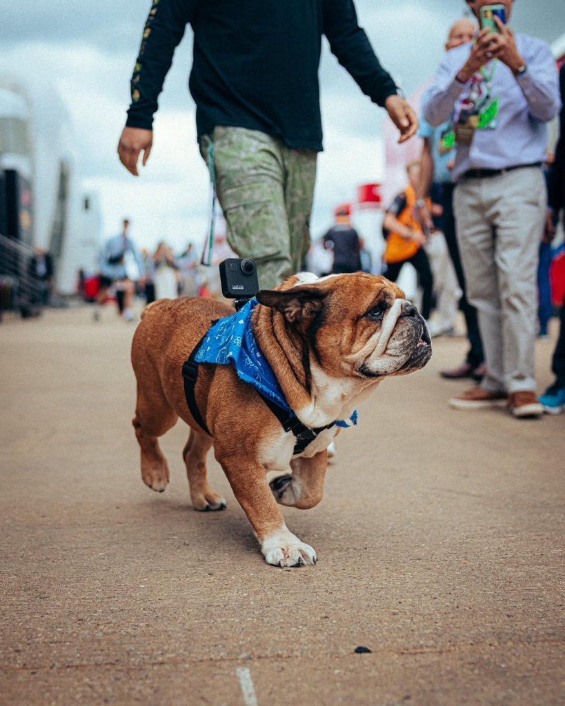 Roscoe fue compañero de Hamilton desde 2013. Fotos: Instagram de Roscoe