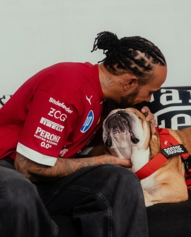 F1 sufre una gran pérdida: fallece Roscoe, el perro de Lewis Hamilton