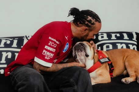 F1 sufre una gran pérdida: fallece Roscoe, el perro de Lewis Hamilton