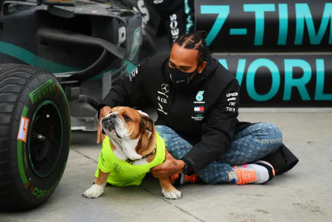 Roscoe también presenció el campeonato 7 de Hamilton